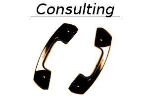 Consulting